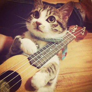 男吸女奶头A片免费观看
